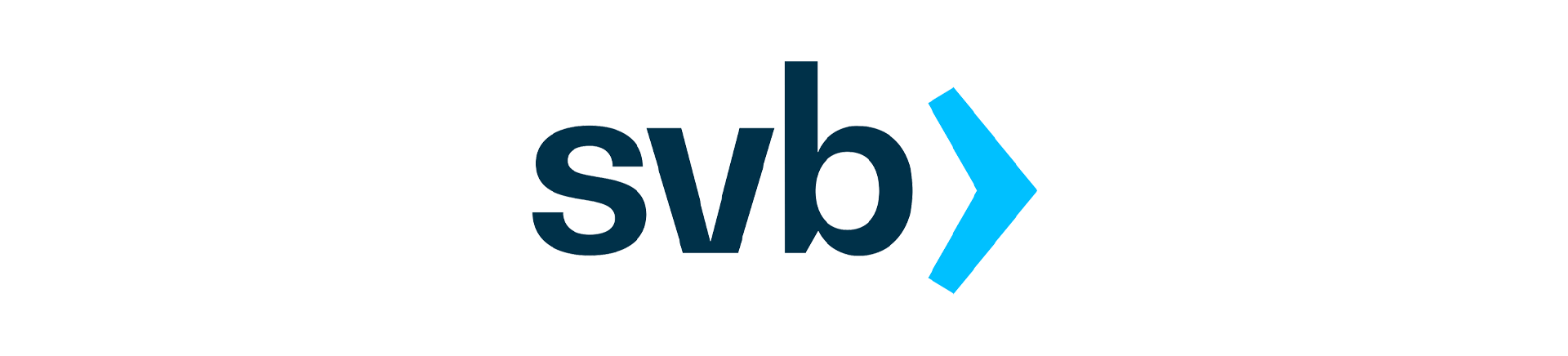 SVB logo opdrachtgevers proces Data Science & AI